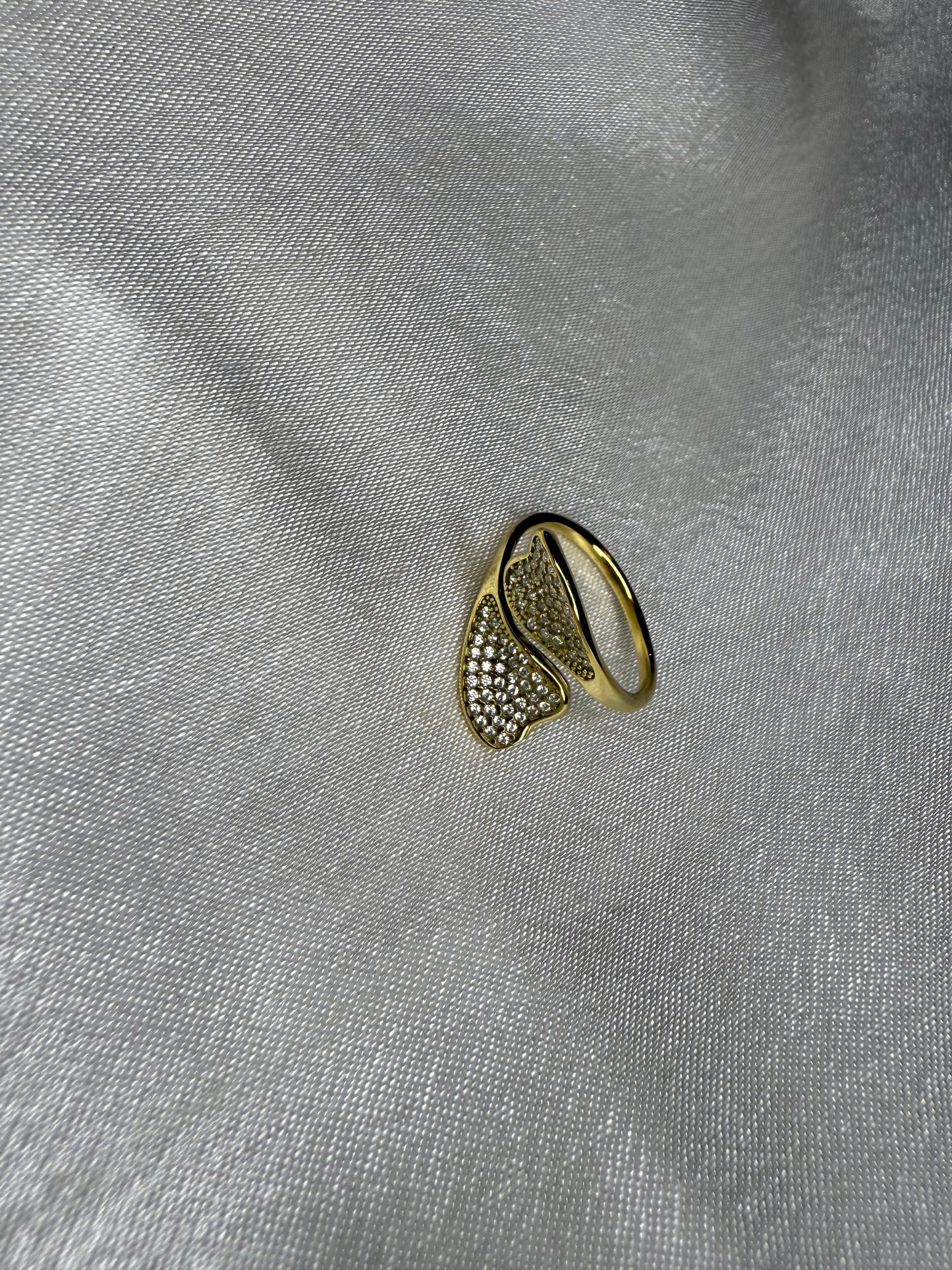 Anello Infinito